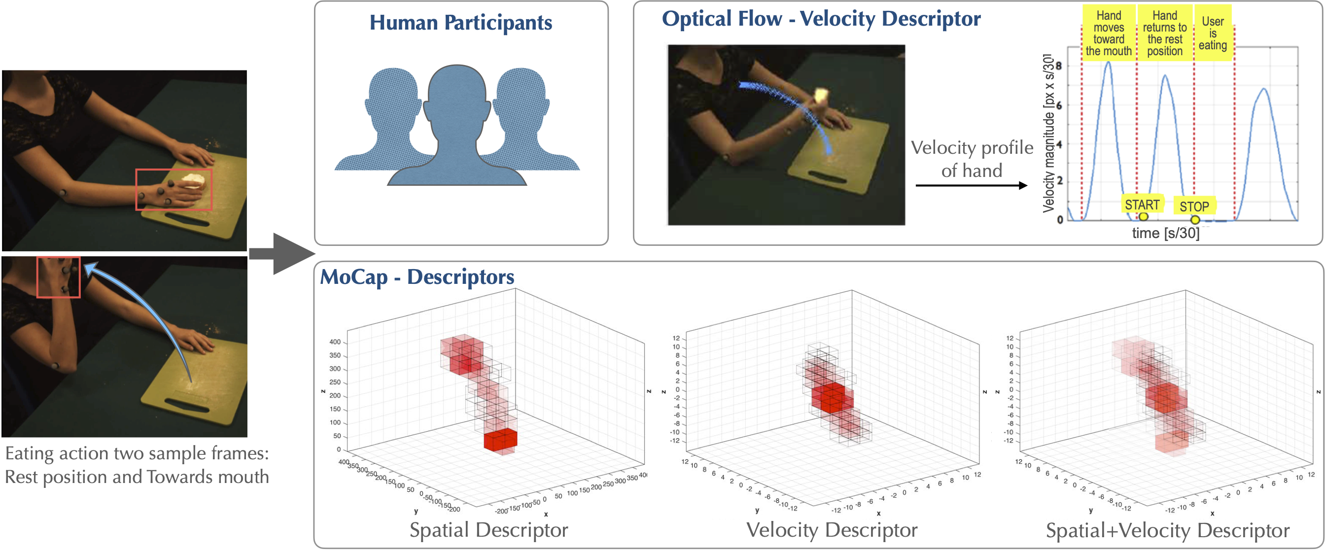 Study overview showing example hand actions and corresponding stimuli presented to models and human participants for a similarity task