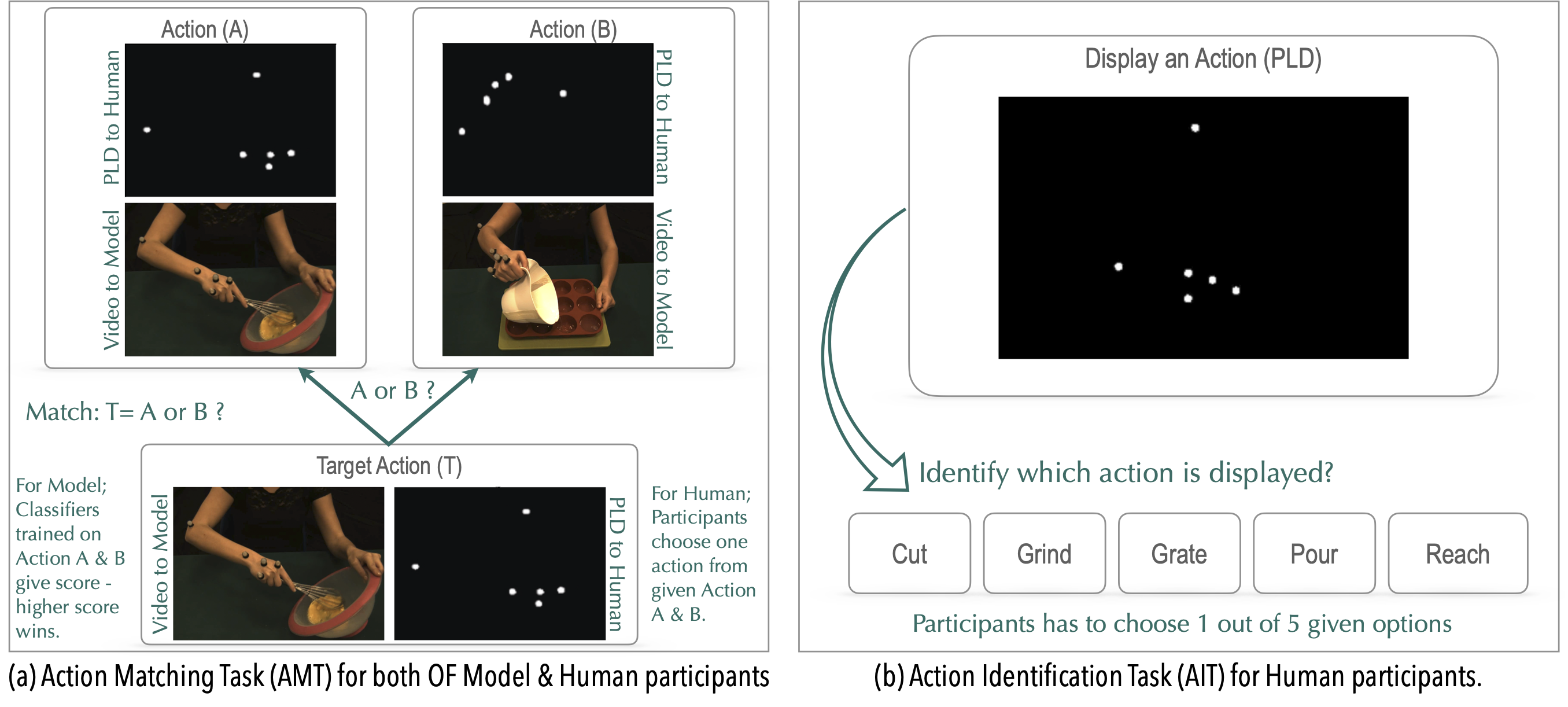Overview illustrating the experimental tasks