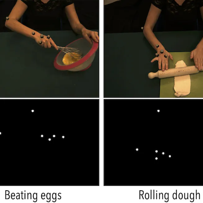 Actions, intentions and environmental constraints in biological motion perception