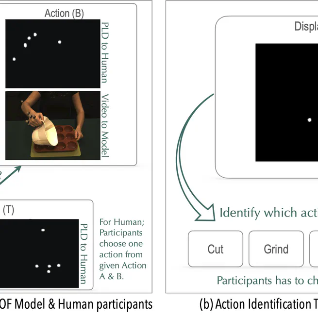 Estimating action similarities-from human perception to computational model